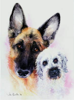 Howard's dogs
Commission
No prints available